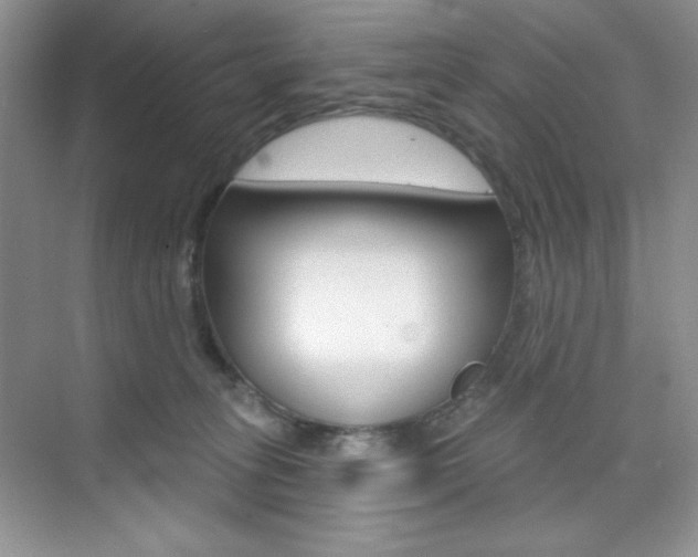 X0000073830275200608101009