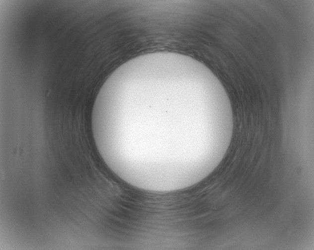 X0000073830276200608101009