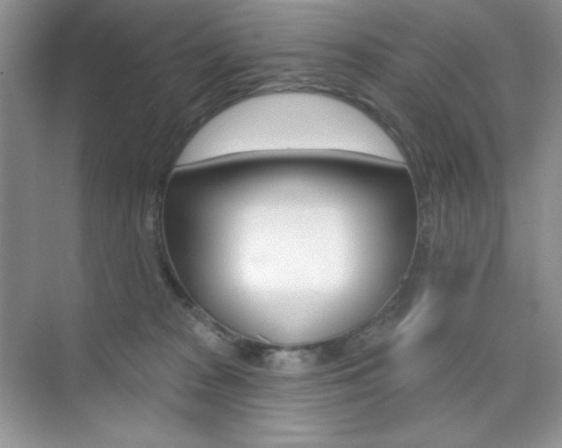 X0000073830277200608101009