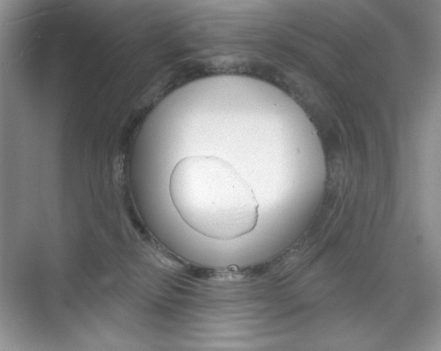 X0000073830278200608101009