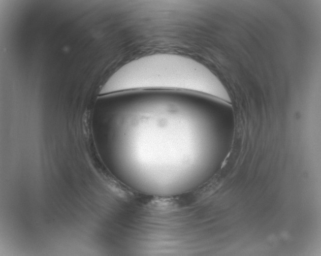 X0000073830280200608101009