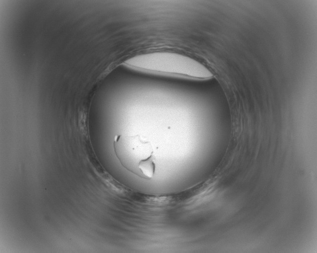 X0000073830281200608101009