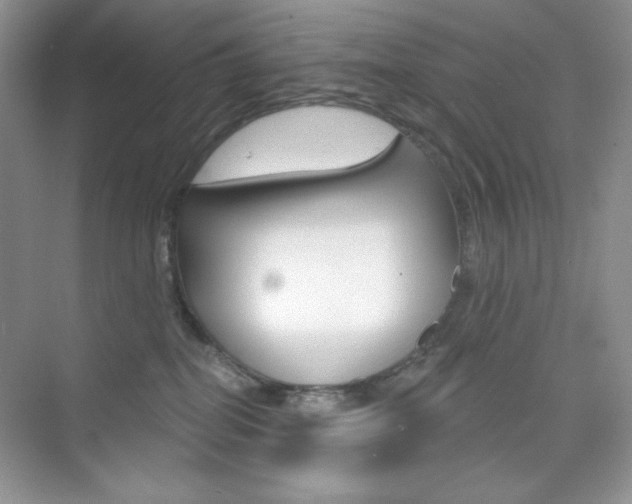 X0000073830282200608101009