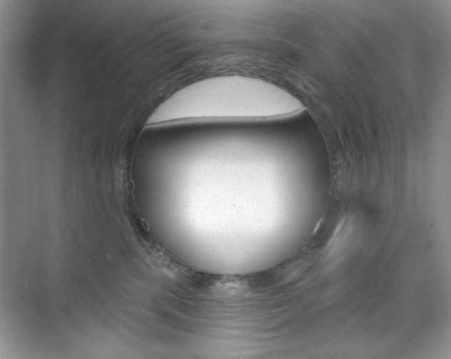 X0000073830283200608101009