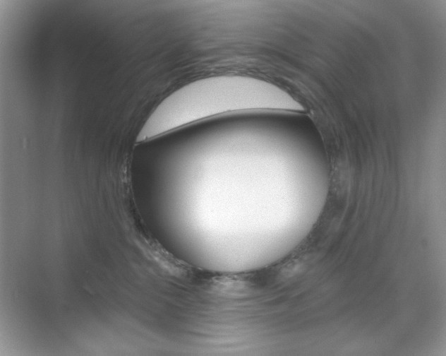 X0000073830284200608101009