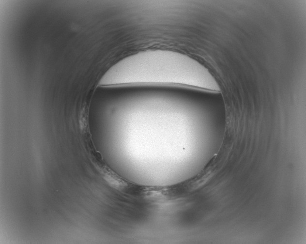 X0000073830285200608101009