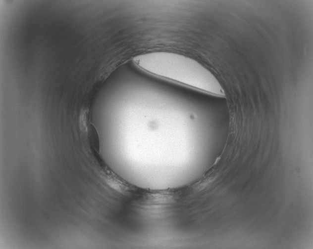 X0000073830286200608101009