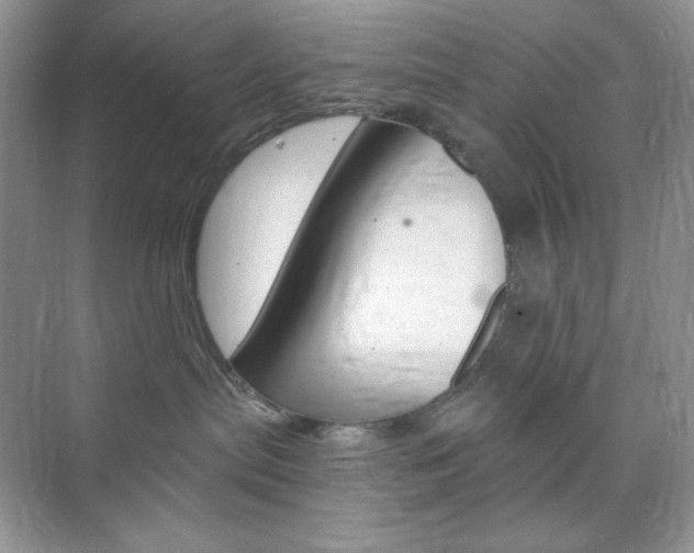 X0000073830287200608101009