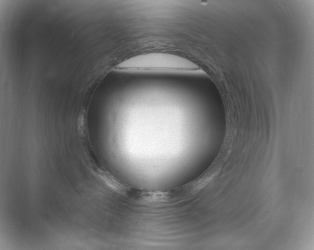 X0000073830288200608101009