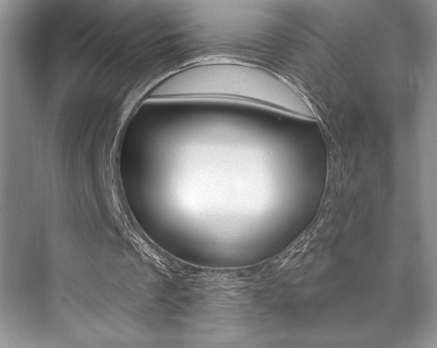 X0000073830289200608101008