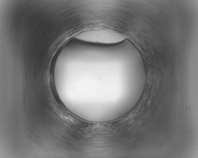 X0000073830290200608101008