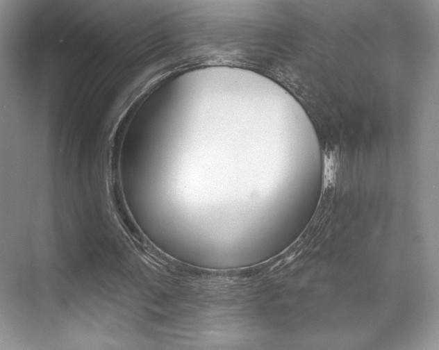 X0000073830291200608101008