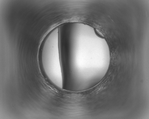 X0000073830292200608101008