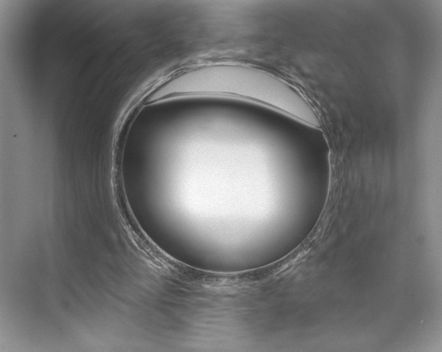 X0000073830293200608101008