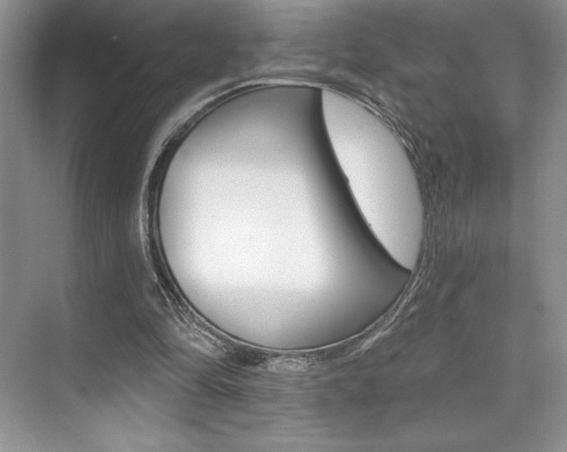 X0000073830294200608101008