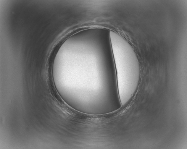 X0000073830295200608101008