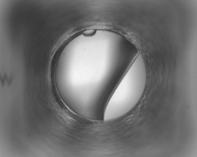 X0000073830296200608101008