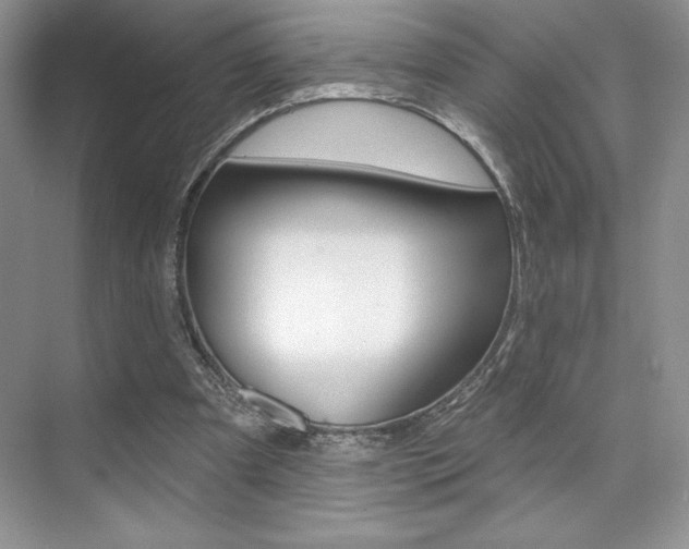 X0000073830297200608101008