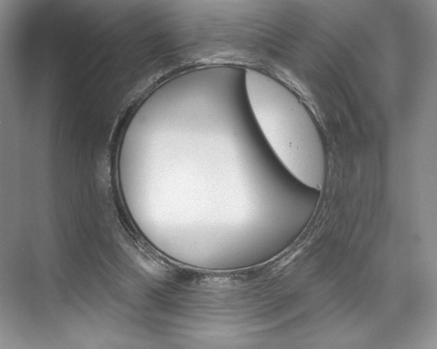 X0000073830298200608101008