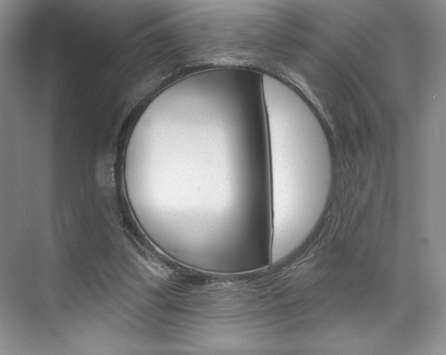 X0000073830299200608101008