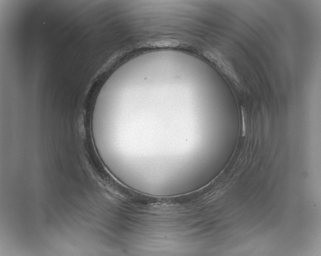 X0000073830300200608101008