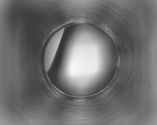 X0000073830301200608101008