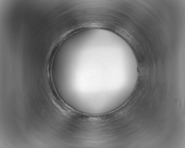 X0000073830302200608101008