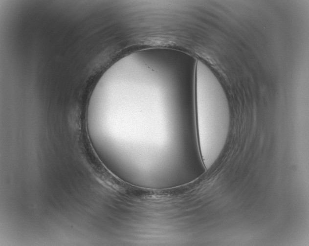 X0000073830303200608101008