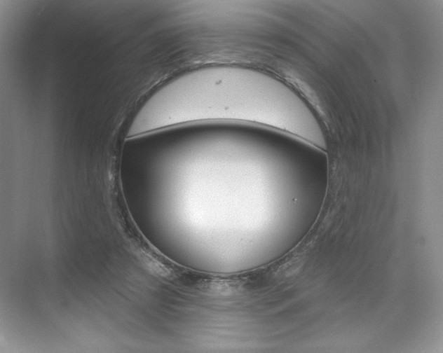 X0000073830305200608101008