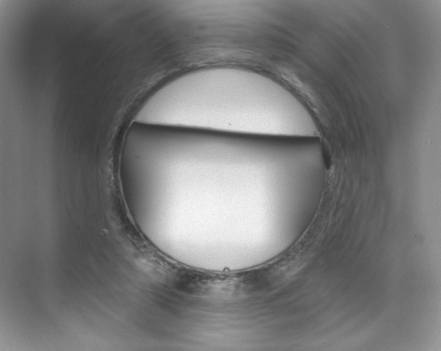 X0000073830306200608101008