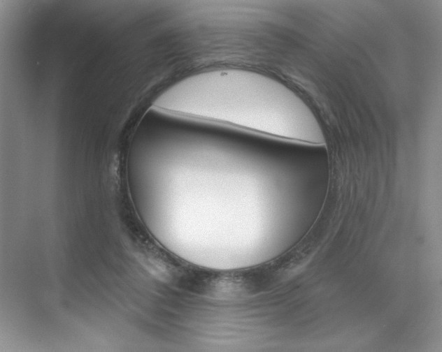 X0000073830308200608101008