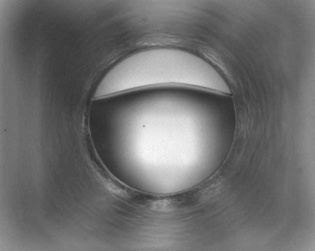 X0000073830309200608101008