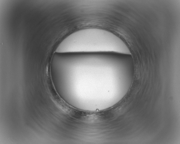 X0000073830310200608101008