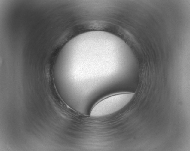 X0000073830312200608101008