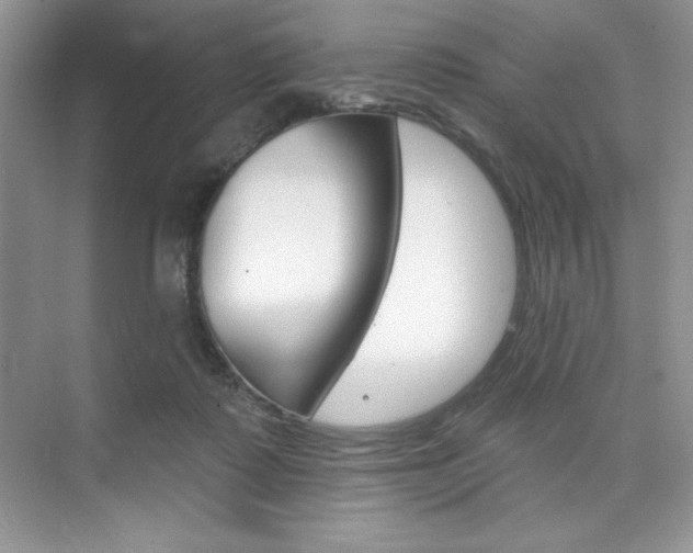 X0000073830315200608101008