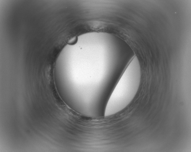 X0000073830319200608101008