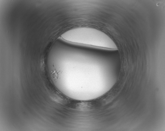 X0000073830320200608101008