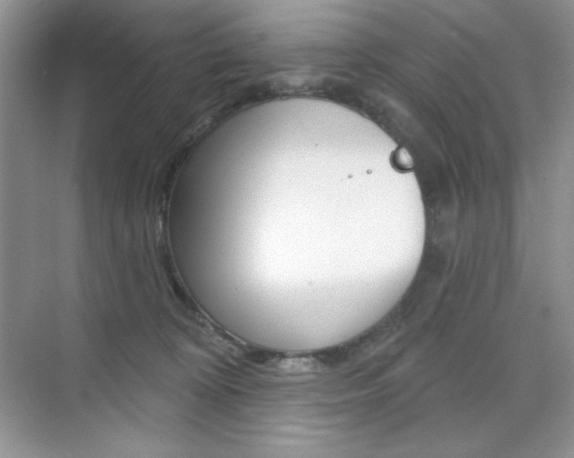 X0000073830324200608101008