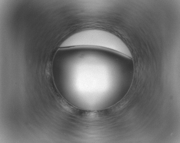 X0000073830325200608101008