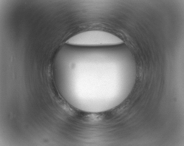 X0000073830326200608101008