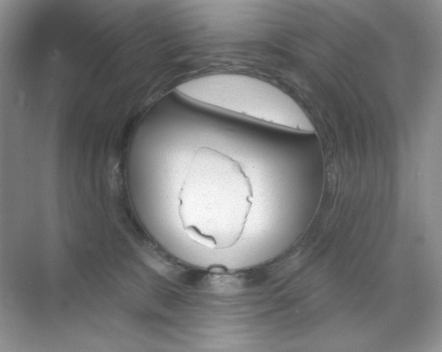 X0000073830327200608101008