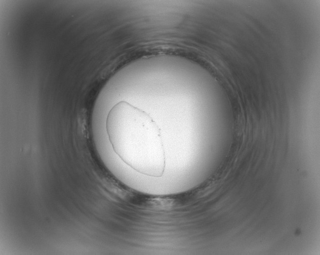 X0000073830328200608101008