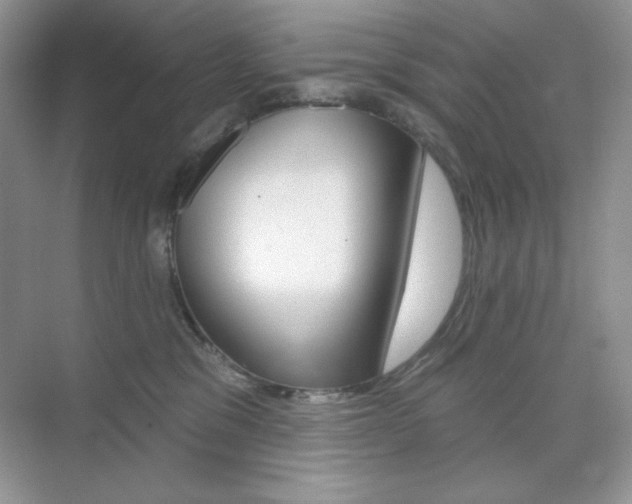 X0000073830329200608101008