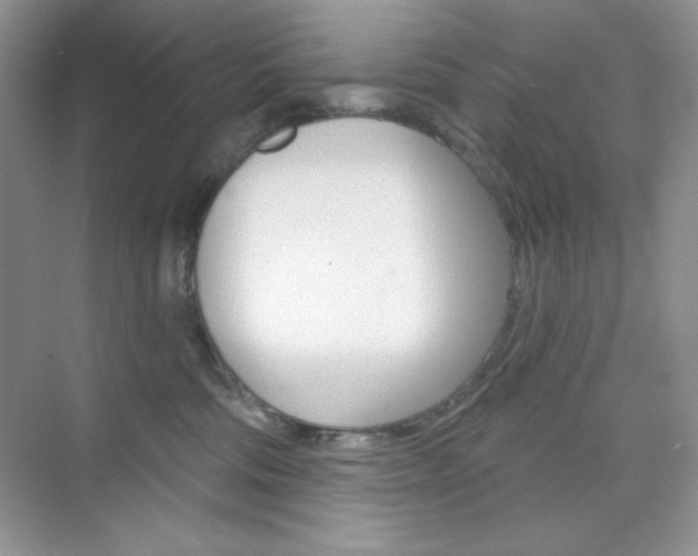 X0000073830330200608101008