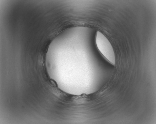 X0000073830331200608101008