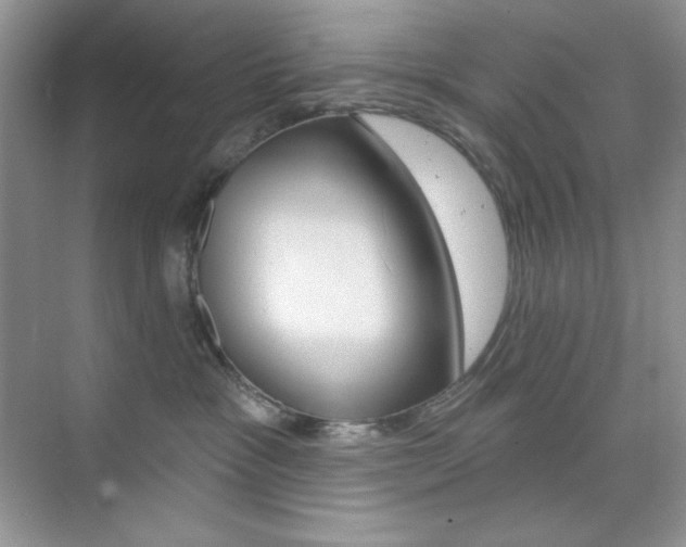 X0000073830333200608101008