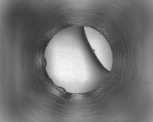 X0000073830334200608101008