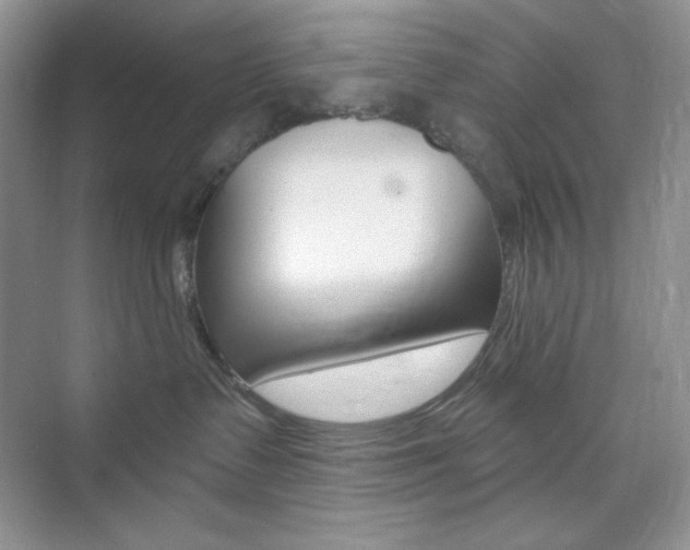 X0000073830335200608101008