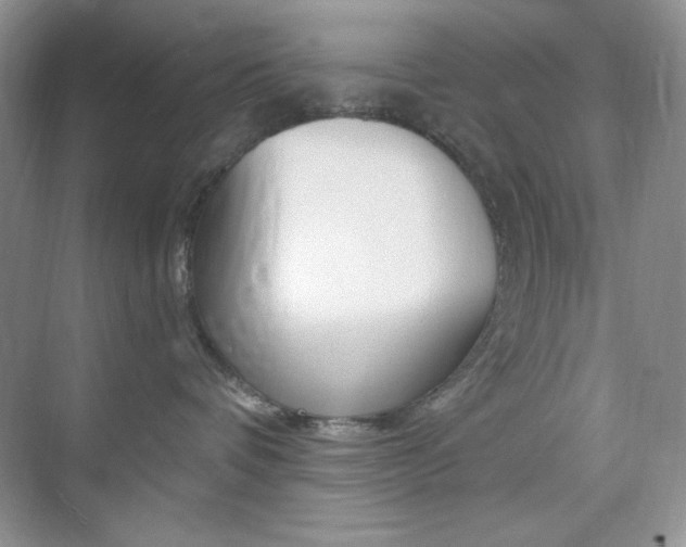 X0000073830336200608101008