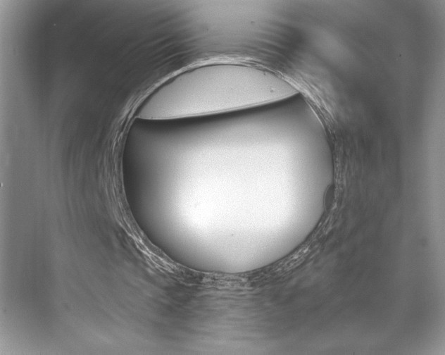 X0000073830337200608101007